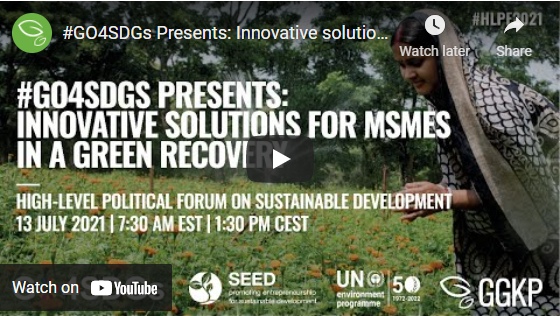2021 07 20 18 09 57 GO4SDGs Presents Innovative solutions for MSMEs in a green recovery Green Gr