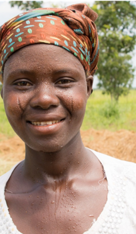 seed malawi enterprise